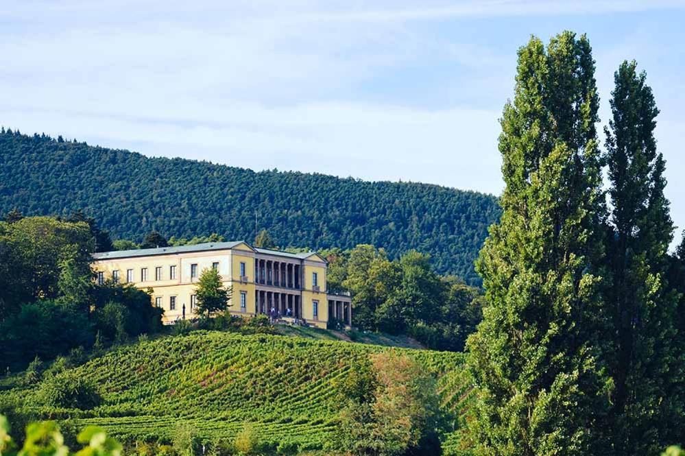 Pfalz-Dorfhaus Буррвайлер Екстер'єр фото